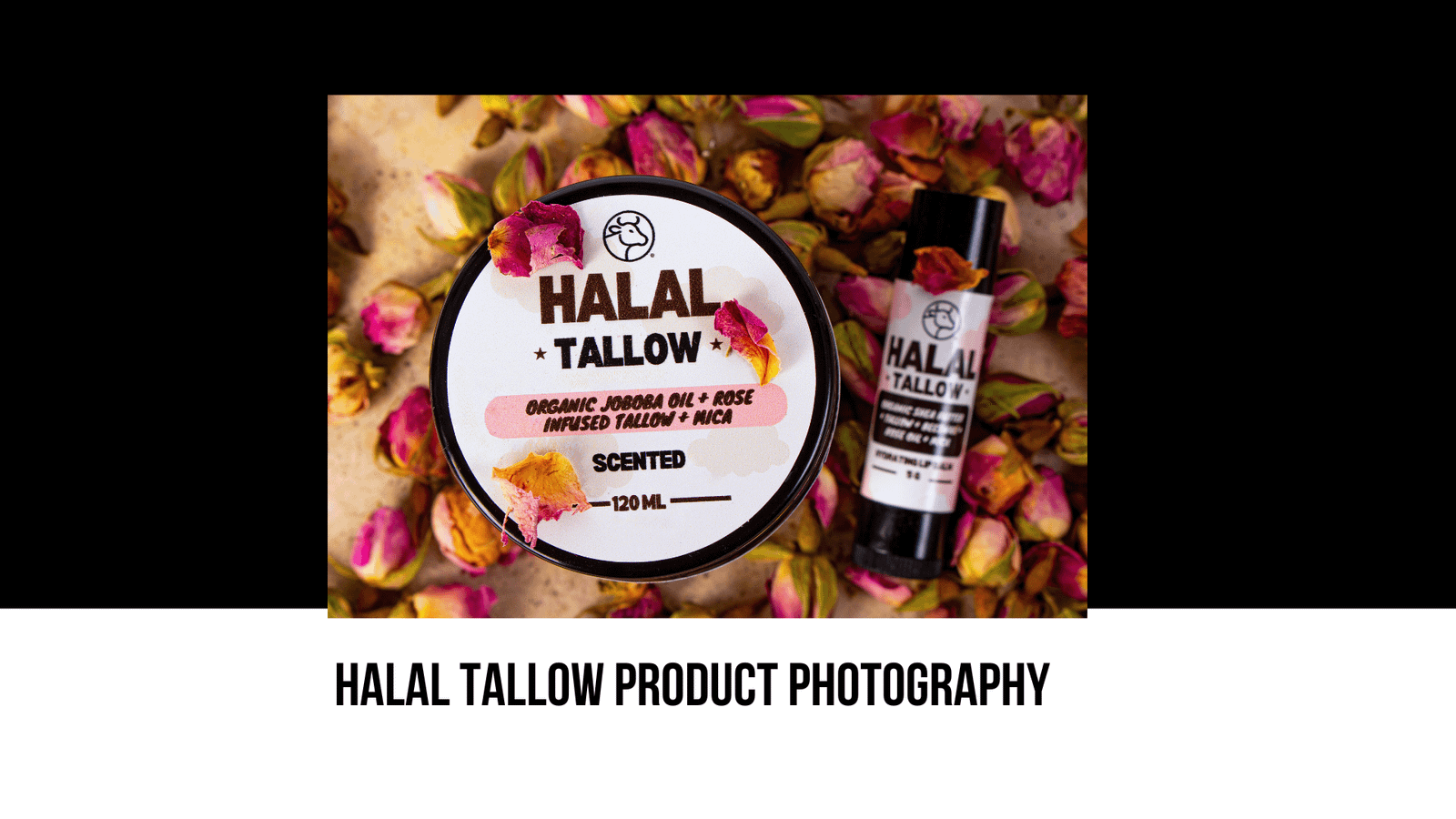 Halal Tallow Product Photography